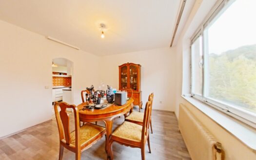 IHRE CHANCE: 6-ZIMMER-HAUS + ca. 840 m² EIGENGRUND +NUR VB 690.000,- +DOPPELGARAGE+KELLER