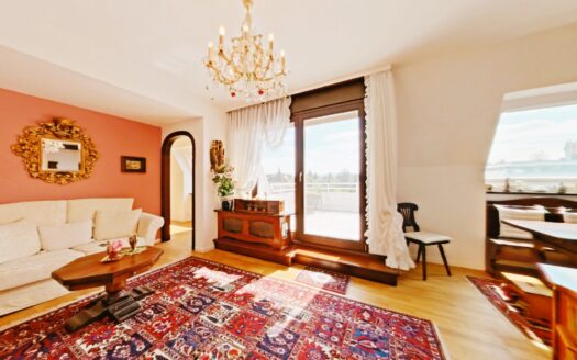 TOP-ZUSTAND +SENSATIONELLE 51 m² DACHWOHNUNG +16 m² TERRASSE +GRÜNRUHELAGE +RIVER-SIDE-NÄHE