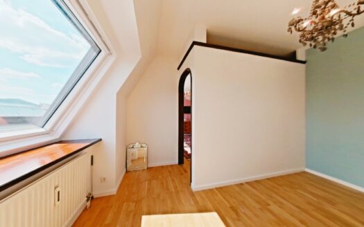 TOP-ZUSTAND +SENSATIONELLE 51 m² DACHWOHNUNG +16 m² TERRASSE +GRÜNRUHELAGE +RIVER-SIDE-NÄHE