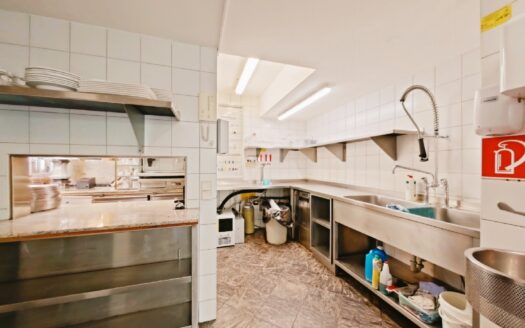 IHRE CHANCE – HAUS ca. 220 m² WNFL + ca. 270 m² BUSINESS + ca. 600 m² EIGENGRUND