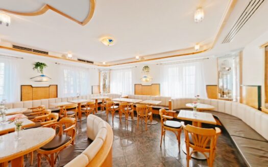 IHRE CHANCE – HAUS ca. 220 m² WNFL + ca. 270 m² BUSINESS + ca. 600 m² EIGENGRUND