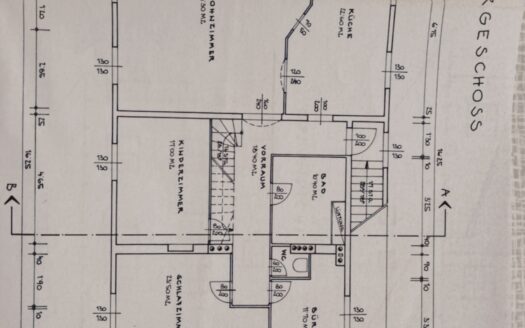 IHRE CHANCE – HAUS ca. 220 m² WNFL + ca. 270 m² BUSINESS + ca. 600 m² EIGENGRUND