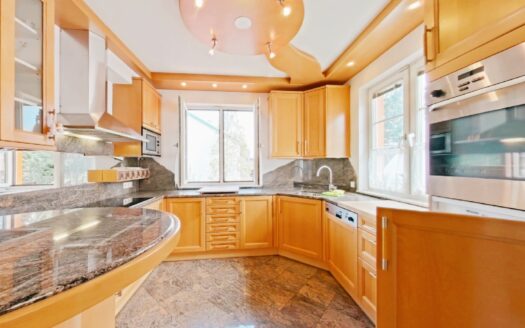 IHRE CHANCE – HAUS ca. 220 m² WNFL + ca. 270 m² BUSINESS + ca. 600 m² EIGENGRUND