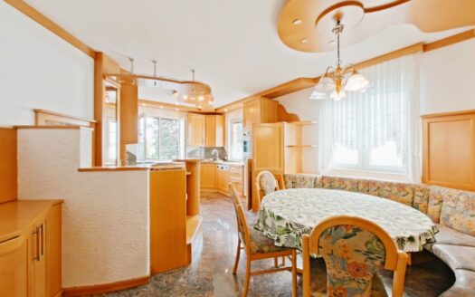 IHRE CHANCE – HAUS ca. 220 m² WNFL + ca. 270 m² BUSINESS + ca. 600 m² EIGENGRUND