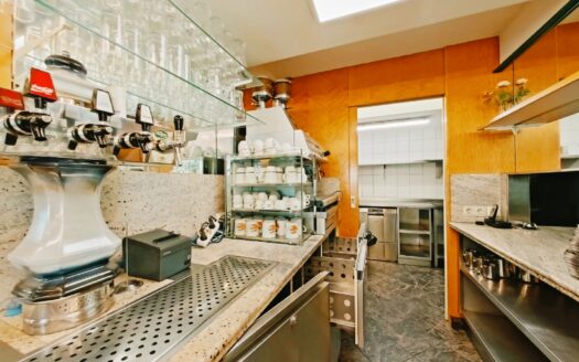 IHRE CHANCE – HAUS ca. 220 m² WNFL + ca. 270 m² BUSINESS + ca. 600 m² EIGENGRUND