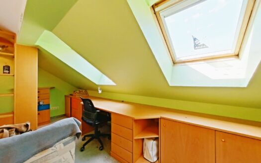 IHRE CHANCE – HAUS ca. 220 m² WNFL + ca. 270 m² BUSINESS + ca. 600 m² EIGENGRUND