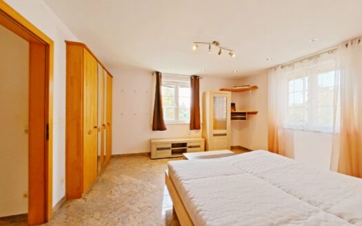 IHRE CHANCE – HAUS ca. 220 m² WNFL + ca. 270 m² BUSINESS + ca. 600 m² EIGENGRUND