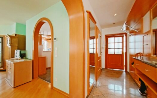 IHRE CHANCE – HAUS ca. 220 m² WNFL + ca. 270 m² BUSINESS + ca. 600 m² EIGENGRUND