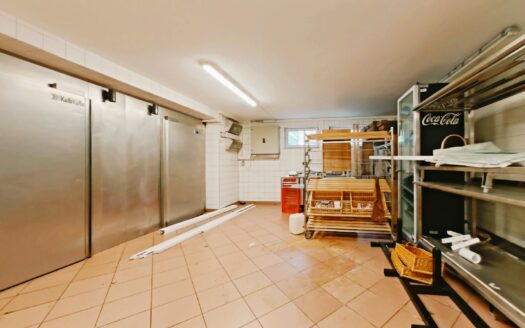 IHRE CHANCE – HAUS ca. 220 m² WNFL + ca. 270 m² BUSINESS + ca. 600 m² EIGENGRUND