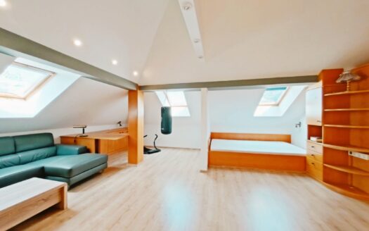 IHRE CHANCE – HAUS ca. 220 m² WNFL + ca. 270 m² BUSINESS + ca. 600 m² EIGENGRUND