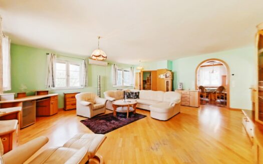 IHRE CHANCE – HAUS ca. 220 m² WNFL + ca. 270 m² BUSINESS + ca. 600 m² EIGENGRUND