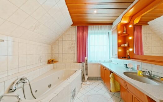 IHRE CHANCE – HAUS ca. 218 m² WNFL + ca. 350 m² BUSINESS + ca. 24.700 m² EIGENGRUND