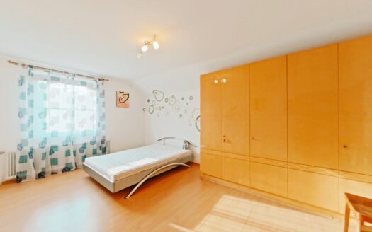 IHRE CHANCE – HAUS ca. 218 m² WNFL + ca. 350 m² BUSINESS + ca. 24.700 m² EIGENGRUND