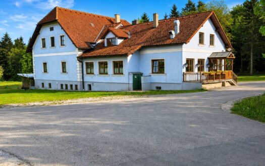 IHRE CHANCE – HAUS ca. 218 m² WNFL + ca. 350 m² BUSINESS + ca. 24.700 m² EIGENGRUND