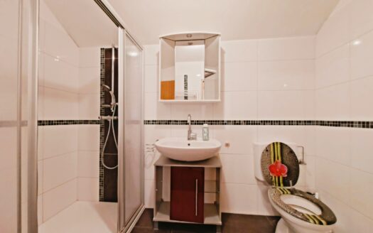 IHRE CHANCE – HAUS ca. 218 m² WNFL + ca. 350 m² BUSINESS + ca. 24.700 m² EIGENGRUND