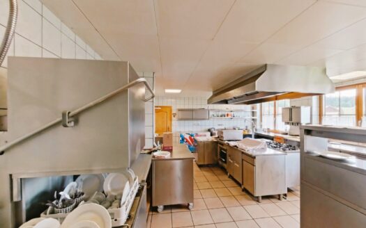 IHRE CHANCE – HAUS ca. 218 m² WNFL + ca. 350 m² BUSINESS + ca. 24.700 m² EIGENGRUND