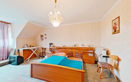 IHRE CHANCE – HAUS ca. 218 m² WNFL + ca. 350 m² BUSINESS + ca. 24.700 m² EIGENGRUND