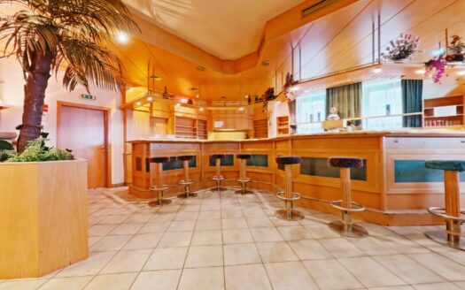 IHRE CHANCE – HAUS ca. 218 m² WNFL + ca. 350 m² BUSINESS + ca. 24.700 m² EIGENGRUND