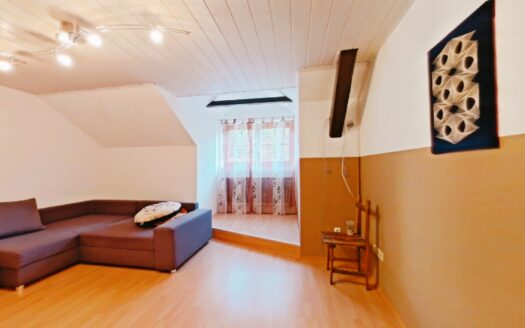 IHRE CHANCE – HAUS ca. 218 m² WNFL + ca. 350 m² BUSINESS + ca. 24.700 m² EIGENGRUND