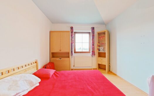 IHRE CHANCE – HAUS ca. 218 m² WNFL + ca. 350 m² BUSINESS + ca. 24.700 m² EIGENGRUND
