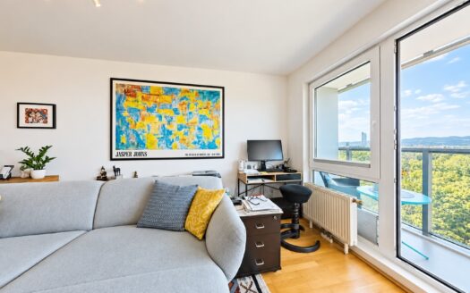 IHRE CHANCE: SKYLINE LIVING +MAISONETTE AM DONAUPARK +TRAUM-FERNBLICK +2 LOGGIEN +GARAGEN MIETBAR