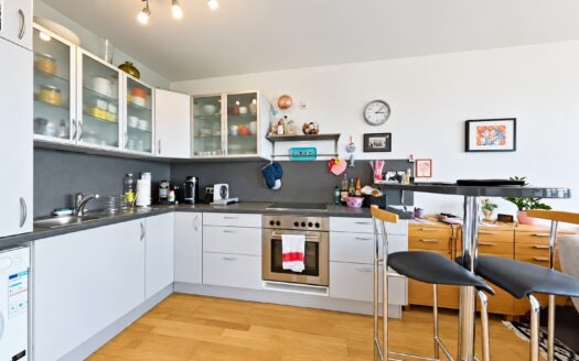IHRE CHANCE: SKYLINE LIVING +MAISONETTE AM DONAUPARK +TRAUM-FERNBLICK +2 LOGGIEN +GARAGEN MIETBAR